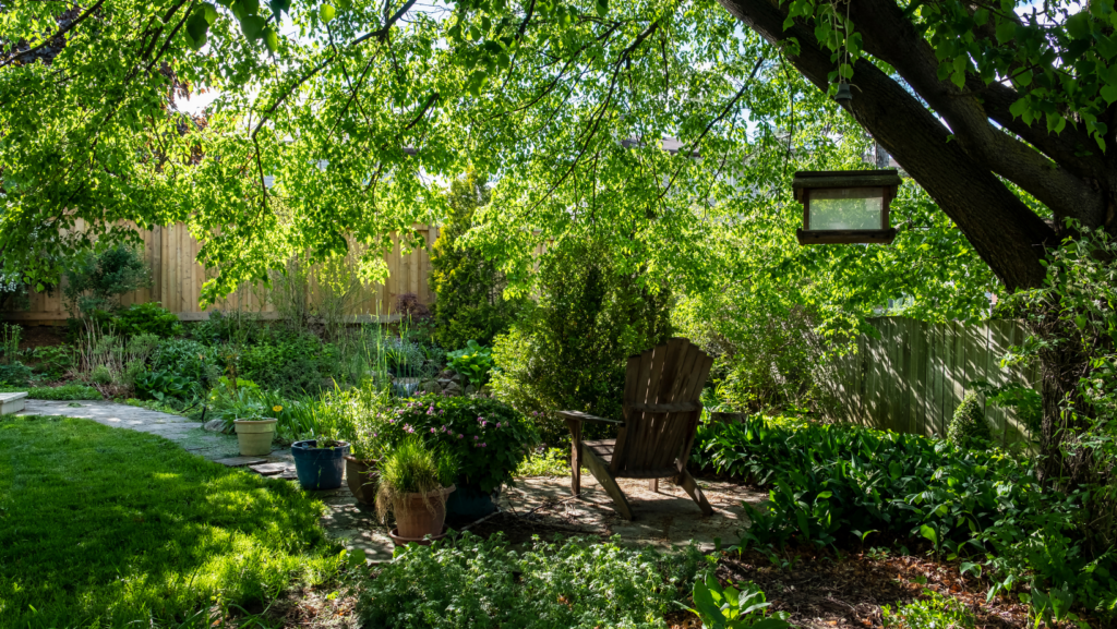 Cheapest Way To Cover Dirt In Backyard My Garden And Patio