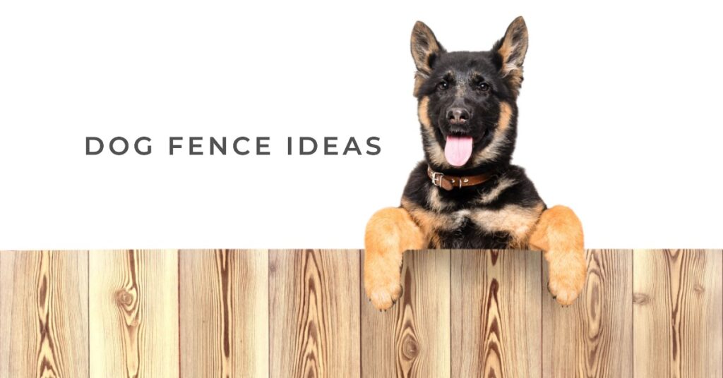 Dog fence ideas