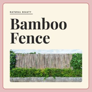 bamboo_fence