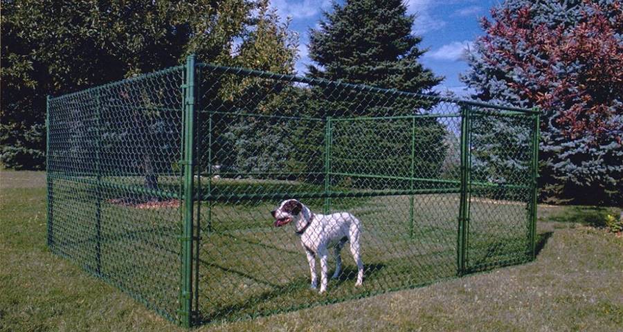 chain_link_dog_fence