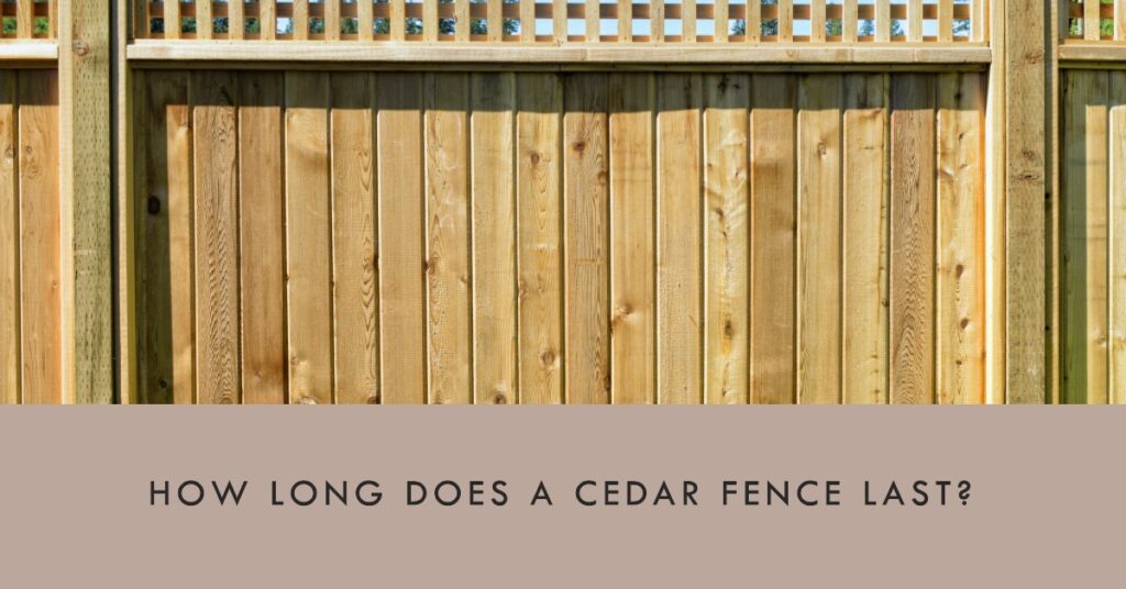 how long does a cedar fence last