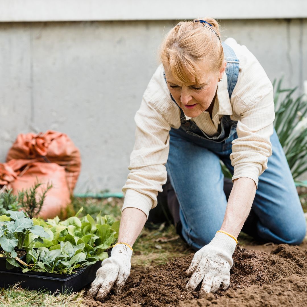 Cheapest Way To Cover Dirt In Backyard My Garden And Patio