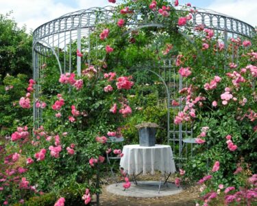 metal gazebo