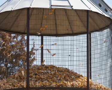 corn crib gazebo