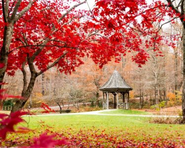 broyhill autumn cove gazebo