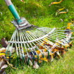 Autumn Lawn Care: What to Do and When