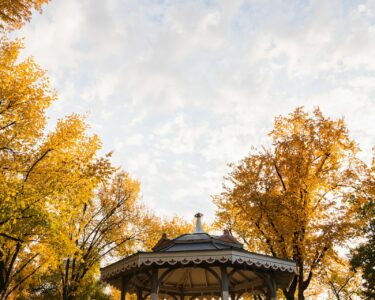 outdoor gazebo fan