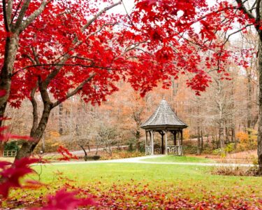 small patio gazebo