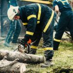 Guardians of Safety: The Vital Role of Emergency Tree Services in Community Well-Being