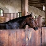 How To Build A Stable For A Horse
