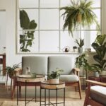 How To Incorporate Plants Into Your Interior Design