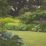 How to Prevent Pests in Your Garden