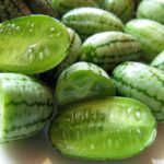 Nutritional Benefits of Cucamelons: Why They’re Good for You and Where to Plant Them