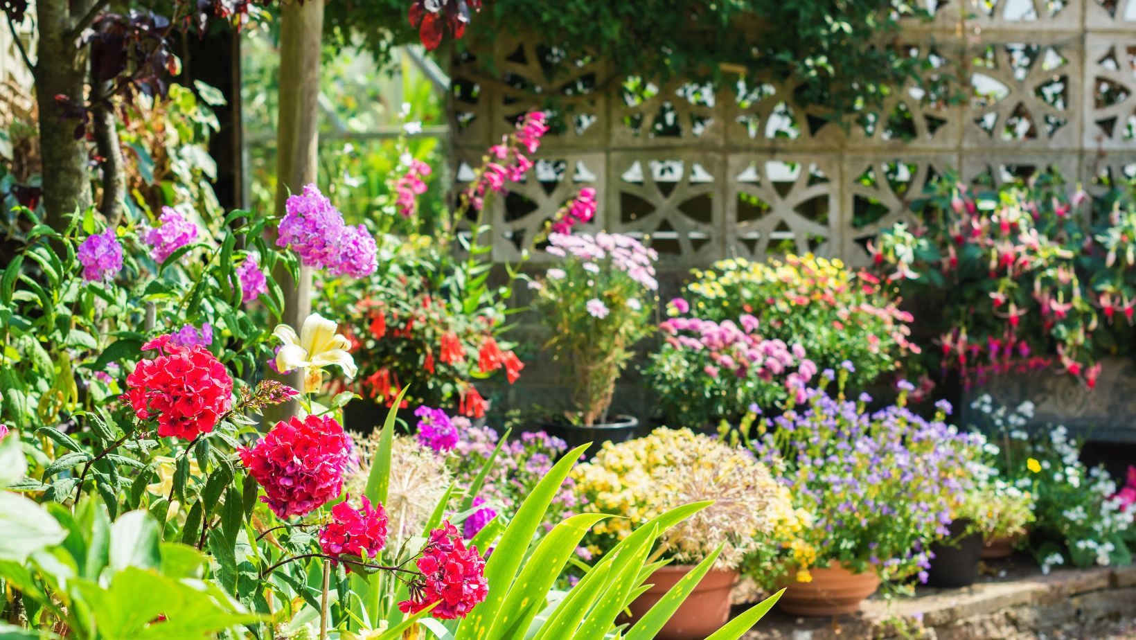 10 Essential Tips For Growing A Beautiful Flower Garden YearRound My