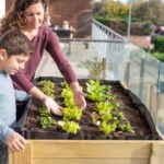 Tiny Gardens, Big Impact: Maximizing Small Spaces for Urban Gardening