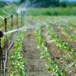 How Smart Irrigation Systems Can Save You Time and Money