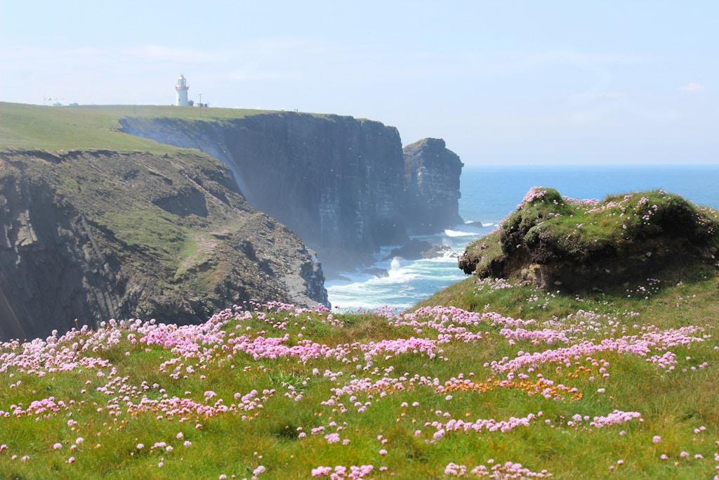 luxury cabins ireland, ireland nature getaways, ireland cabin retreats, top ireland luxury accommodation, ireland outdoor cabins, sustainable luxury cabins ireland, ireland countryside cabins, romantic ireland cabin stays, ireland family cabin vacations, best ireland luxury escapes